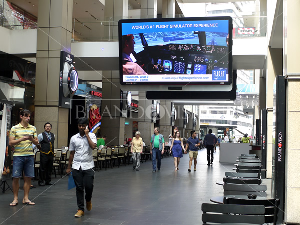 Flight Experience (Led Screen)